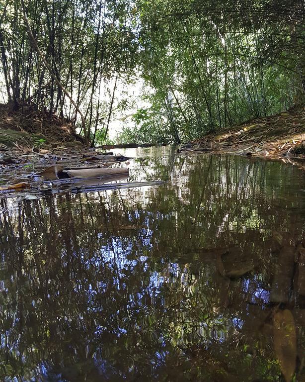 Pousada Recanto Dos Beija Flores Monte Alegre do Sul Exteriér fotografie