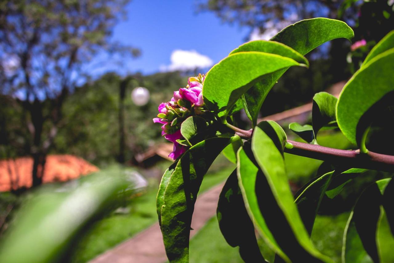 Pousada Recanto Dos Beija Flores Monte Alegre do Sul Exteriér fotografie